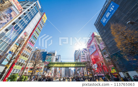 "Tokyo" Akihabara Electric Town and Pedestrian Mall "Tokyo" Akihabara Electric Town and Pedestrian Mall 113765063