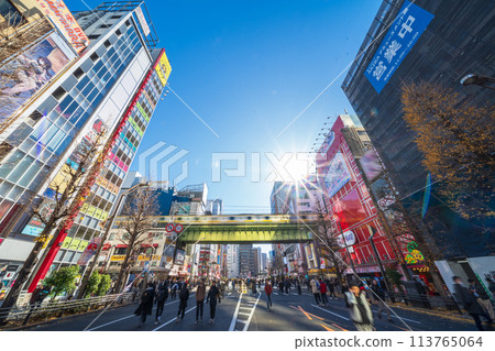 「東京」秋葉原電器街/步行者天堂 「東京」秋葉原電器街/步行者天堂 113765064