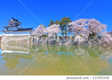 [Toyama Prefecture] The symmetrical Toyama Castle tower and cherry blossoms in full bloom 113765430