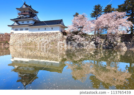 【富山縣】對稱的富山城樓和盛開的櫻花 【富山縣】對稱的富山城樓和盛開的櫻花 113765439