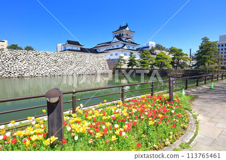 【富山縣】晴空萬裡的富山城天守閣、櫻花、鬱金香盛開 113765461