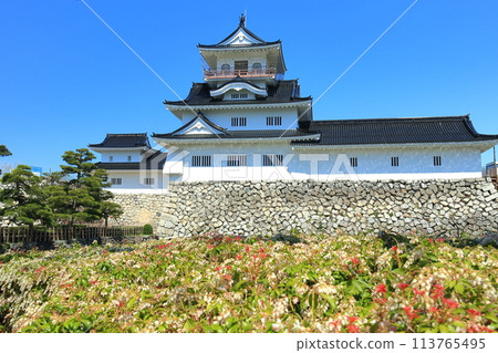 [Toyama Prefecture] Toyama Castle tower and cherry blossoms in full bloom on a clear day 113765495