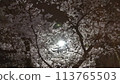 Night cherry blossoms and street lamp 113765503