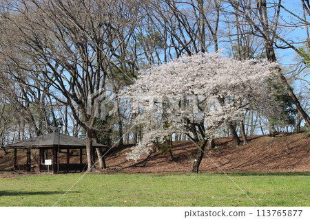 Katsuyama Castle 113765877