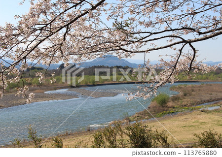Katsuyama Castle Katsuyama Castle 113765880