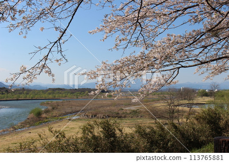 Katsuyama Castle Katsuyama Castle 113765881