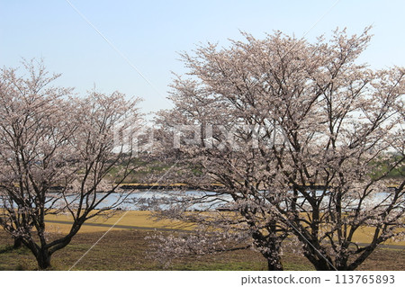 Katsuyama Castle 113765893