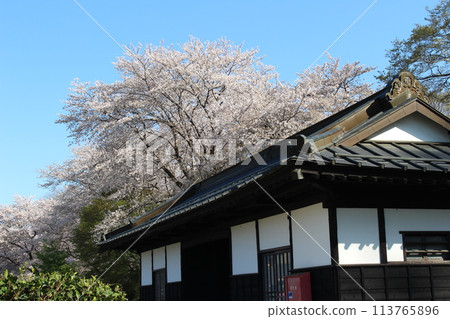 Katsuyama Castle Katsuyama Castle 113765896