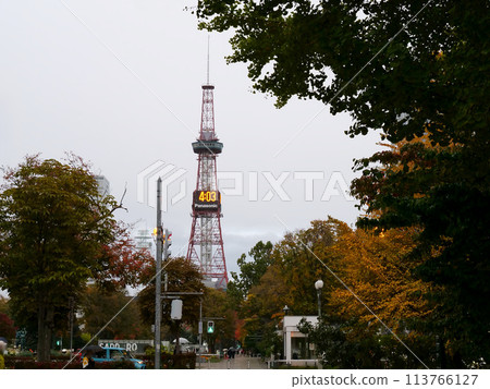 Autumn leaves and TV tower on a rainy day Autumn leaves and TV tower on a rainy day 113766127