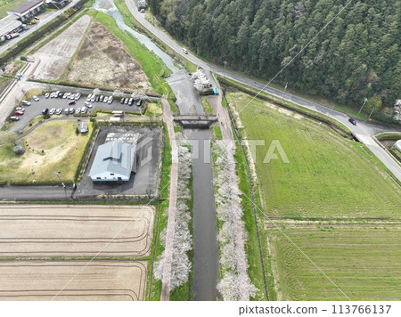 岐阜縣山形市的櫻花樹 鳥羽川自行車道 無人機空拍 113766137