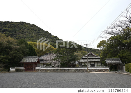 右側是普賢寺正門，左側是櫻花盛開的赤門（山口縣光市） 113766224