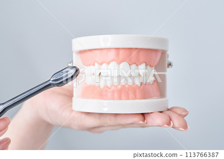 Toothbrush and dental model 113766387