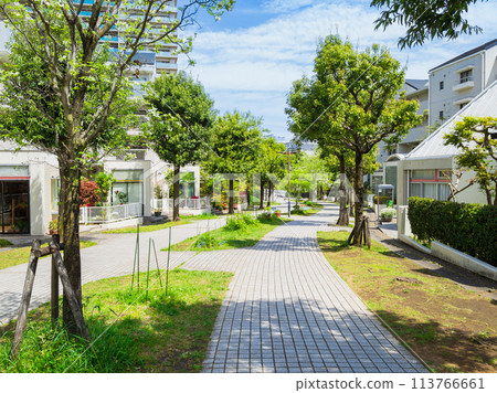 郊區住宅區，清新綠色生活路 113766661