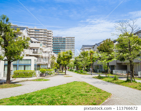 Suburban residential area, fresh green living road Suburban residential area, fresh green living road 113766672