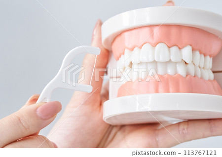 用牙線磨牙模型 113767121
