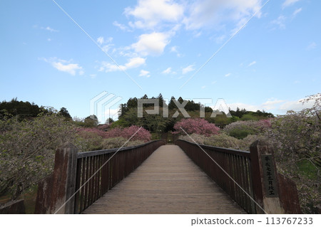 Hill of Hokuriku Fudoki 113767233