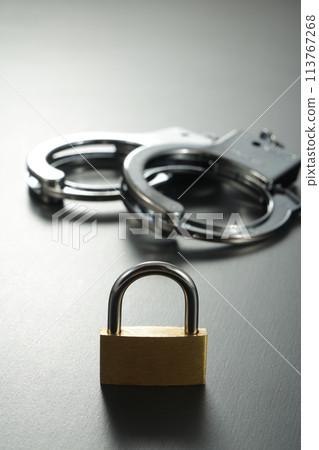 犯罪形象 113767268