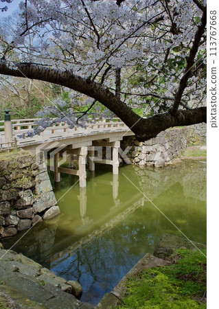 春天的松江城千鳥橋附近 113767668