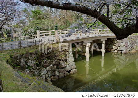 Around Chidoribashi Bridge at Matsue Castle in spring Around Chidoribashi Bridge at Matsue Castle in spring 113767670