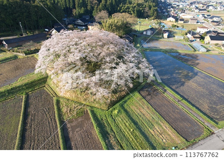 Cherry blossoms at Mizushiro Nabeyama Tomb in Nakanoto, Ishikawa Prefecture Cherry blossoms at Mizushiro Nabeyama Tomb in Nakanoto, Ishikawa Prefecture 113767762
