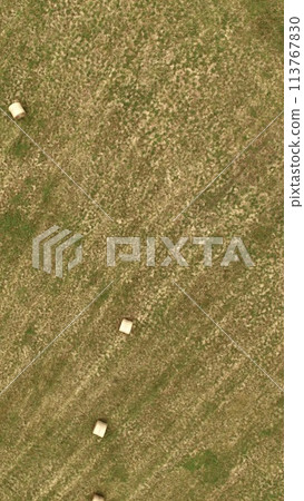 Pasture and scattered wheat straw rolls - aerial photography by drone (Monbetsu City, Hokkaido) 113767830