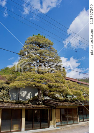 Omatsu, Naniwa, Kijicho, Unnan City Omatsu, Naniwa, Kijicho, Unnan City 113767849