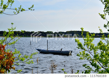 千葉縣:櫻花盛開的手賀沼散步道的風景 千葉縣:櫻花盛開的手賀沼散步道的風景 113768169