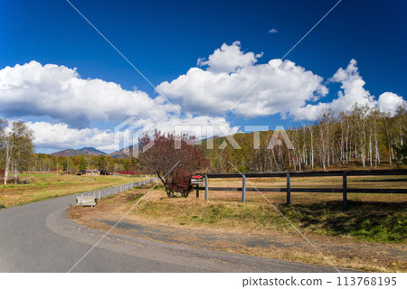Autumn in Kaida Plateau (Kiso Horse Village, Pasture Area) 113768195
