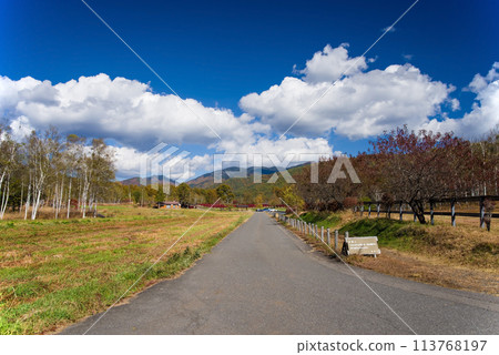 秋季的開田高原(木曾馬之裡及牧場週邊) 秋季的開田高原(木曾馬之裡及牧場週邊) 113768197