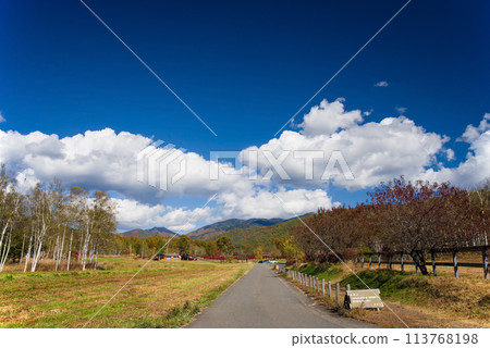 秋季的開田高原(木曾馬之裡及牧場週邊) 秋季的開田高原(木曾馬之裡及牧場週邊) 113768198