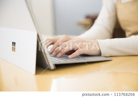 The hands of a young woman working on a computer at home 113768208