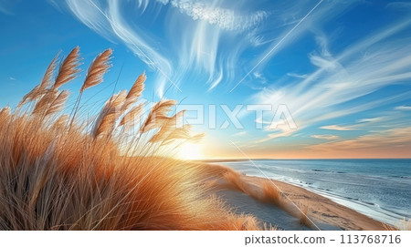 Blooming pampa grass along the shoreline 113768716