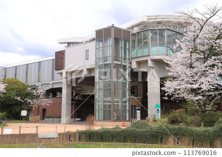 Iris Numa Park and Kita-Ayase Station in spring 113769016