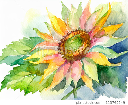 Sunflower painted in watercolor 113769249