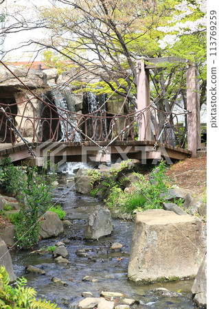 The Cat's Cradle Bridge and waterfall at Shobunuma Park 113769259