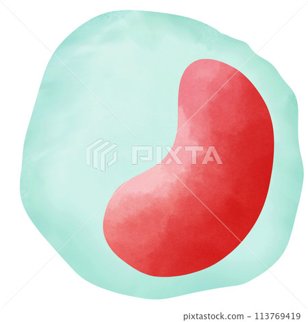 Monocyte is a type of white blood cell. Monocyte is a type of white blood cell. 113769419