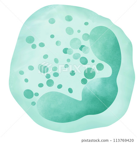 Neutrophil is a type of granulocyte white blood cell. Neutrophil is a type of granulocyte white blood cell. 113769420