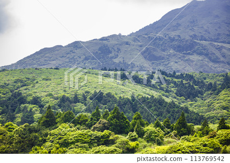 高山上的綠色寧靜 高山上的綠色寧靜 113769542
