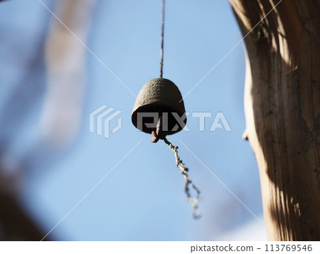 Southern wind chimes swaying from a crepe myrtle tree Southern wind chimes swaying from a crepe myrtle tree 113769546