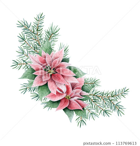 Christmas floral corner composition with poinsettia flowers and fir tree branches watercolor illustration isolated on white. Hand drawn winter plants for holiday season, greeting banners and cards Christmas floral corner composition with poinsettia flowers and fir tree branches watercolor illustration isolated on white. Hand drawn winter plants for holiday season, greeting banners and cards 113769613