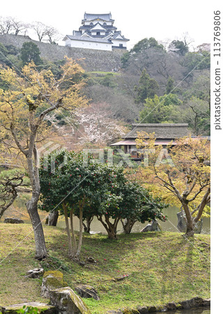 Hikone Castle tower as seen from Genkyuen Garden in spring 113769806