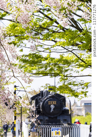 Spring cherry blossom trees lined up: Weeping cherry blossoms on the Nicchu Line, C11 at the SL Square, Kitakata City, Fukushima Prefecture 113771276