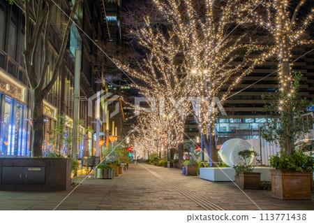 Marunouchi Illumination 2023 113771438
