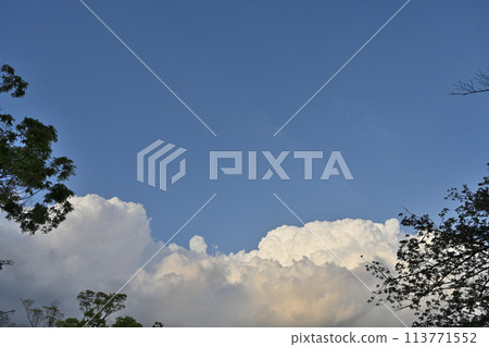 雖然還是春天,但天空已經是夏天了 雖然還是春天,但天空已經是夏天了 113771552