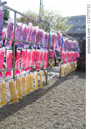 Carp streamer Carp streamer 113771712