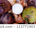 Coco, coconut and cocoanut on coconut shell background 113771903