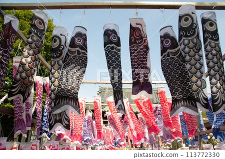 Carp streamer Carp streamer 113772330