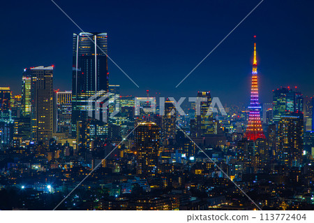 東京鐵塔冬天點亮夜景 東京鐵塔冬天點亮夜景 113772404
