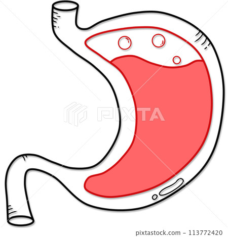 illustration of human stomach anatomy created by black and red line  113772420