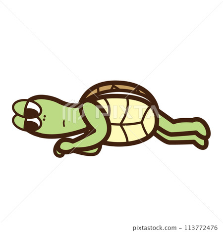 Turtle feels tired and sleepy 113772476